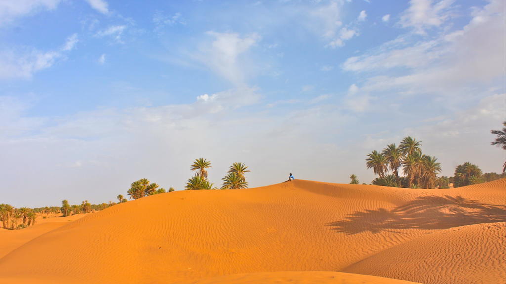 فندق Dar محاميد الغزلان المظهر الخارجي الصورة